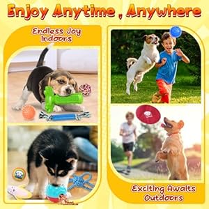 KIPRITII 25 Pack Various Puppy Dog Toys for Teething, Entertainment & Interaction, Puppy Chew Toys Pack with Rope Toys, Treat Balls and Dog Squeaky Toys for Puppy & Small Dogs KIPRITII 25 Pack Various Puppy Dog Toys for Teething Entertainment Interaction Puppy Chew Toys Pack with Rope Toys Treat Balls and Dog Squeaky Toys for Puppy Small Dogs