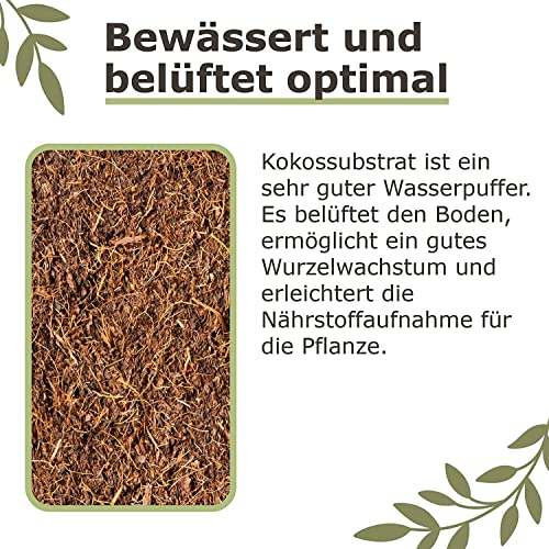 Blumenerde aus Kokosfaser, 27 Liter, 3 x 650 g, torffrei