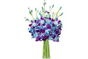 KaBloom PRIME NEXT DAY DELIVERY - Mother's Day Collection