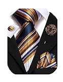 Hi-Tie Blue White Gold Ties for Men Silk Mens Ties Striped Necktie and Flower Lapel Pins Pocket Squa