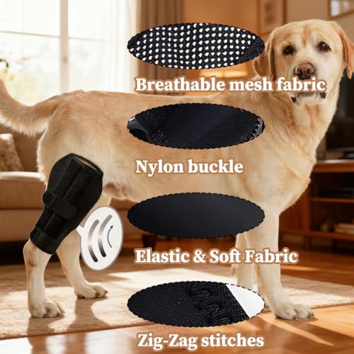 YUVKIN 1 Pcs Knieschützer für Hunde, Stütze für Hinterbeine von Hunden, aus Neopren, geeignet für Kreuzbandrisse, Bänderverletzungen, Patellaluxation oder Osteoarthritis (Größe XL)