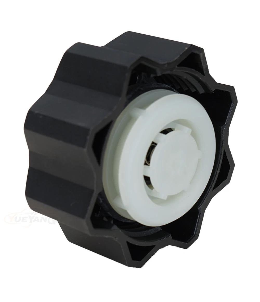 Pour Citroën Pour Peugeot Accessoires Auto 1306E4/1306C9 9638001280 Bouchon De Vase D'expansion(10PCS)