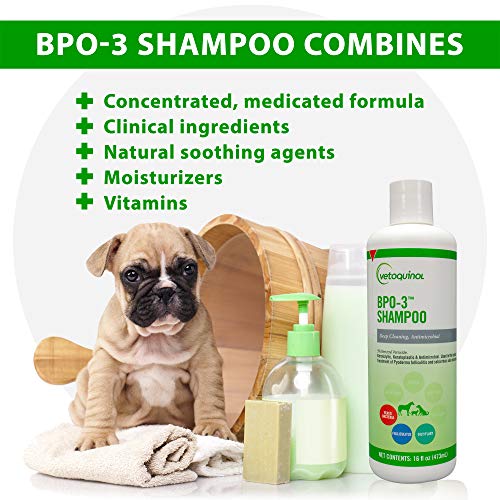 Vetoquinol Bpo3 Shampoo for Dogs Cats  Horses 3 Benzoyl Peroxide  16oz  Deep Cleaning Medicated Shampoo Opens  Flushes Hair Follicles  Degreases Oily Coats  Soothes Red Flaky Itchy Skin  Cucciolini Doodles Vetoquinol bpo 3 shampoo for dogs cats  horses 3 benzoyl peroxide  16oz  deep cleaning medicated shampoo opens  flushes hair follicles  degreases oily coats  soothes red flaky itchy skin   cucciolini doodles