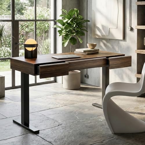 Image of ErGear Standing Desk with 3 Drawers, 48 Inch Electric Adjustable Height Desk with Storage, Whole-Piece Board Stand Up Desk for Home Office