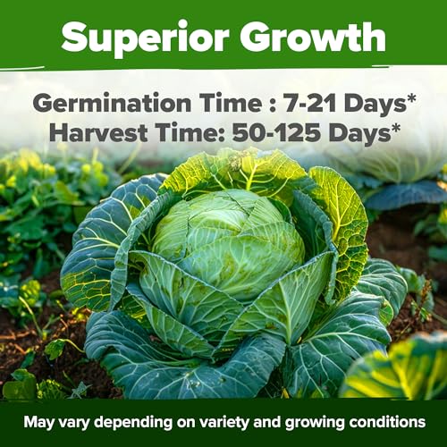 Image of HOME GROWN Cabbage Seeds 7 Variety Mix 2000+ Heirloom Non-GMO, High Germination, Bok Choy, Red & Green Acre, Savoy, Napa Michihili, Copenhagen Market, Jersey Wakefield, Cold Hardy