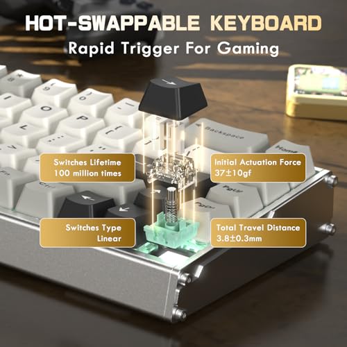 Teclado Gamer X68MAX HE 60% Conectividad USB-C miniatura 5