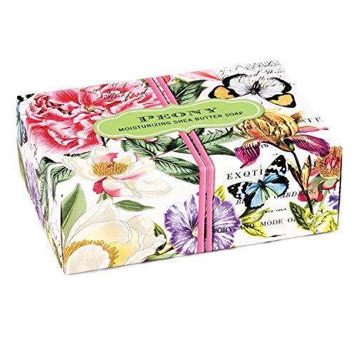 Michel Design Works 4.5oz Boxed Single Shea Butter Soap, Peony