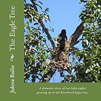 The Eagle Tree: A dramatic story of two baby eagles growing up in the Riverbend nest tree. 1518873588 Book Cover