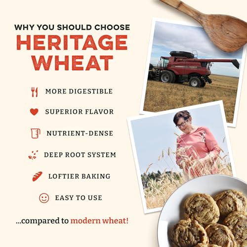 Image of Sunrise Flour Mill Heritage Organic White Flour | USDA Organic All Purpose Flour Unbleached - Non-GMO, Kosher, Grown Without Glyphosate, High Protein for Baking, Unbromated White Wheat (400 Ounce (Pack of 1))