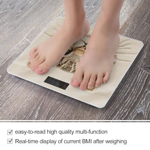 Báscula Digital para Baño con Diseño de Gato y Pantalla LED miniatura 5
