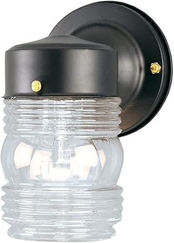 Westinghouse Angelo Brothers 66885 - Tarro de gelatina de una luz, color negro