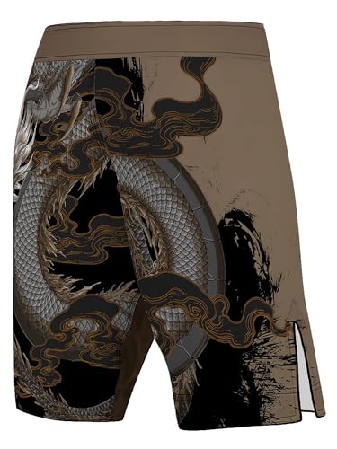 Raven Fightwear Men's Year of The Dragon MMA Shorts BJJ2