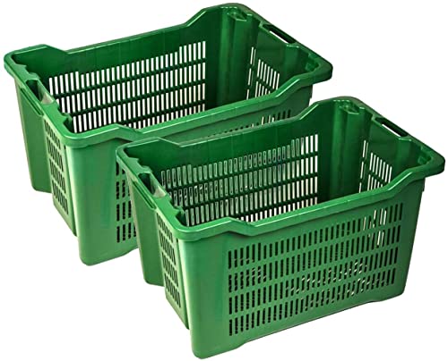 Il colore può essere rosso o verde.