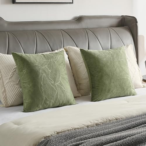 Image of FUTEI Pack of 2 Velvet Throw Pillow Covers 18x18 Inch Soft Embossed Leaf-Relief Textured Decorative Cushion Cases Modern Natural Farmhouse Accent for Couch Bed Living Room, Sage Green