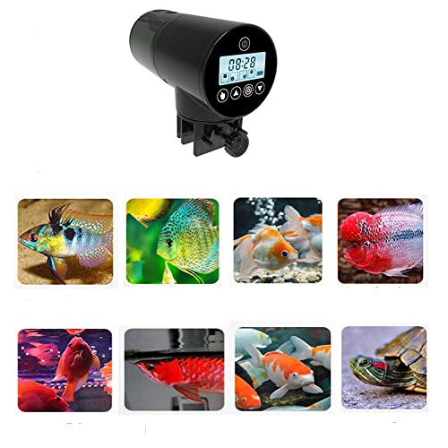 Alimentador Automático Dosador Comida Peixes Aquario