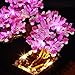 BRIKSMAX Light Kit for Lego-Bonsai Tree - Led Lighting Compatible with Lego Botanical 10281, Valentine痴 Day Gift (Model Not Included)