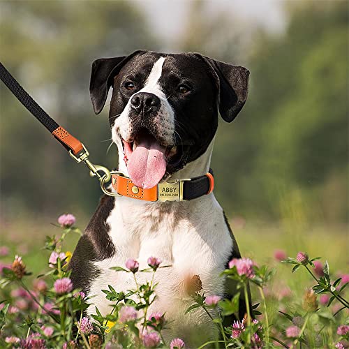 Personalisierte Hundehalsbänder mit Eingravierter Schnalle für Kleine Mittlere Große Hunde, Benutzerdefinierte Nylon & Echtes Leder Nähen Hundehalsband mit Namen