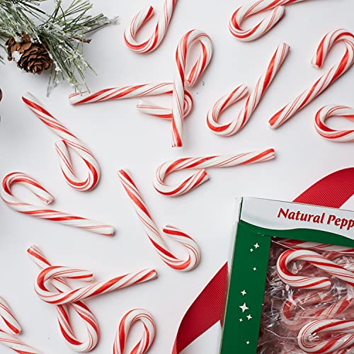 Spangler Red And White Peppermint Mini Canes 240 Count Box #TOP3