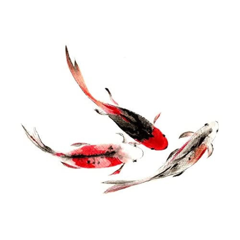 Wee Blue Coo Japanese Koi Fish Black And Red Unframed Art Print Poster Wall Decor 12x16 inch