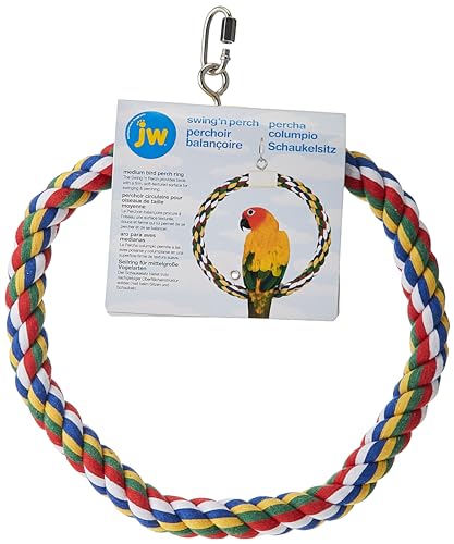 Image of JW Pet Swing N' Perch, Medium