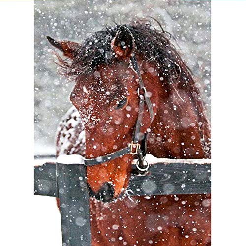 5D Diamond Painting Snow and Horses in Winter Full Drill by Number, SKRYUIE DIY Rhinestone Pasted Paint with Diamond Set Arts Craft Decorations (12x16inch)