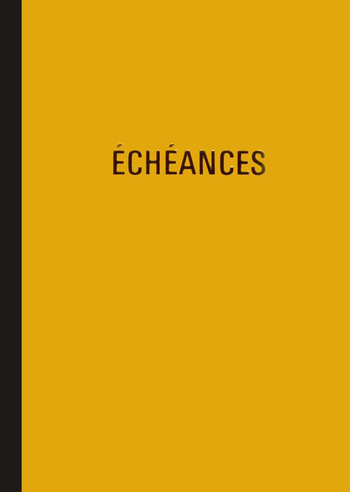 PIQURE ECHEANCIER 297X210 96 PAGES