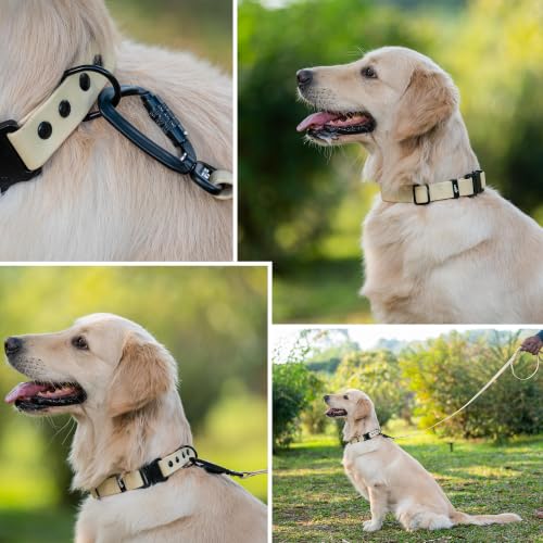 Image of Adil's Biothane Waterproof Dog Collar, Dog Leash & Collar Leash Combo | Heavy Duty TPU Coated Webbing | Adjustable Quick Release Buckle | Odour Resistant (Lemon White, L-22, Collar & Leash Combo)