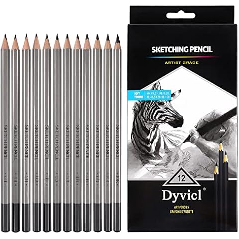 Dyvicl Professional Drawing Sketching Pencil Set - 12 Pieces Drawing Pencils 10B, 8B, 6B, 5B, 4B, 3B, 2B, B, HB, 2H, 4H, 6H Graphite Pencils for Beginners & Pro Artists Cover