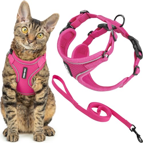 Image of Voyager Escape-Proof Step-in Lock Cat Harness & 5ft Neoprene-Handle Leash Set All-Weather Mesh with Reflective Stitching for Small to Large Cats by Best Pet Supplies, Fuchsia (327), S