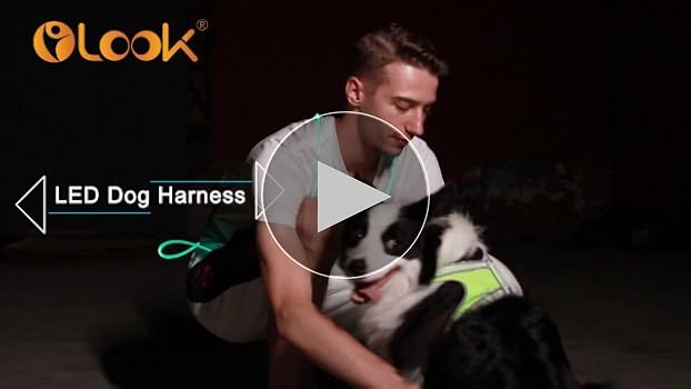 Amazon.com: Olook LED Running Light Vest | Multicolor Light