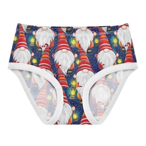 Joisal Girls Underwear Toddlers 2t Cotton Little Girl Panties Animals Briefs Underpants Christmas Gnomes Starry Blue - Main Image