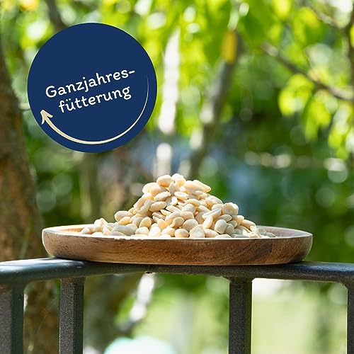 Lyra Pet® | 25 kg Erdnusskerne halbe blanchiert | Nährstoffreiches Streufutter | Wildvogelfutter Ganzjährig | Erdnüsse ohne Schale | Energiespender für Alle Wildvögel | Sommer und Winter