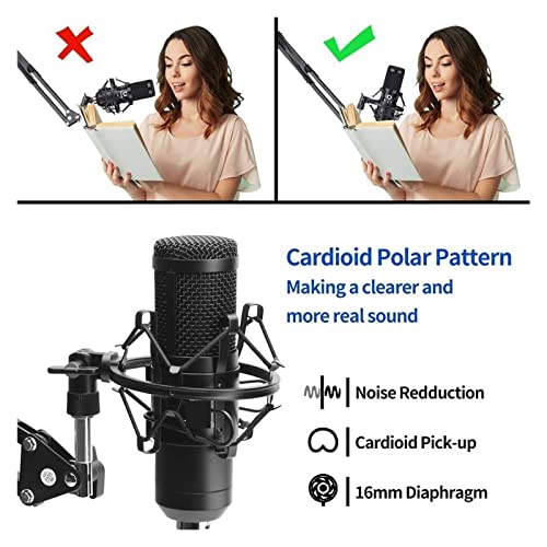Microphone USB 192KHZ/24BIT à condensateur avec trépied de table stable