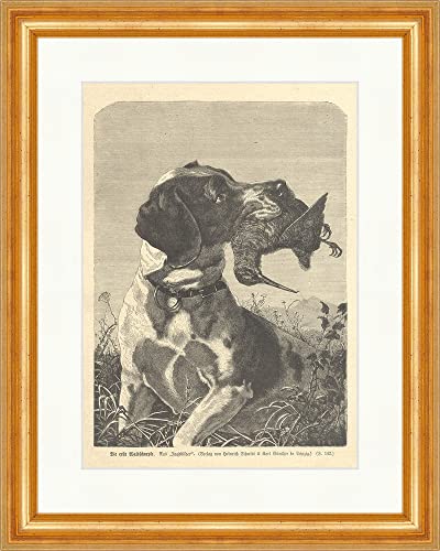 Biller Antik La primera becada caza cuadros perros puntada madera superprecio V Enmarcado 0515