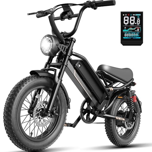 Electric Bike for Adults, Ebike 2000W/1500W Peak Motor, E Bike 32/28MPH Top Speed, Up to 55-80 Miles Range, 20'/16' Fat Tire, 48V Removable Battery, All Terrain Electric Dirt Bike (1500W+Lock)