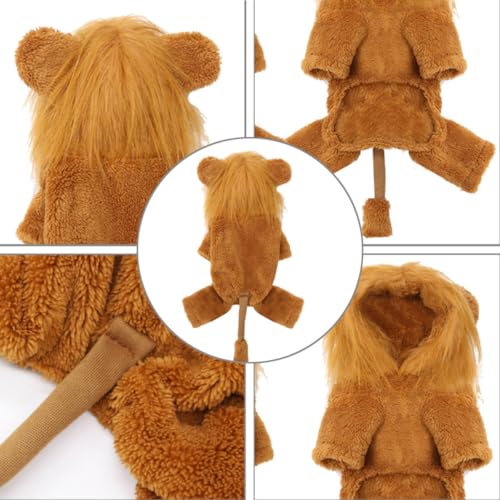 Disfraz de León para Perros Talla XXL FRCOLOR miniatura 3