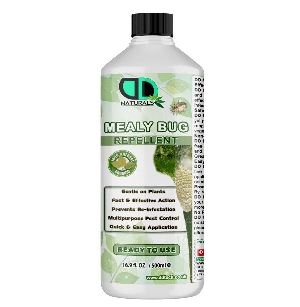 DD Teck Mealybug Killer for Indoor & Outdoor Plants – Natural Insecticidal Soap for Mealybugs, Aphids, Spider Mites & Whiteflies – Fast-Acting Houseplant Bug Treatment (500ml)