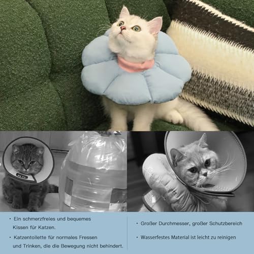 Halskrause Katze, Einstellbarer Halskrause Halsband, Weich Blumen Katze Wiederherstellung Halsband Kragen Cone ,für Katzen Kleiner Hunde Nach Operation und Verletzungen (blau, M)