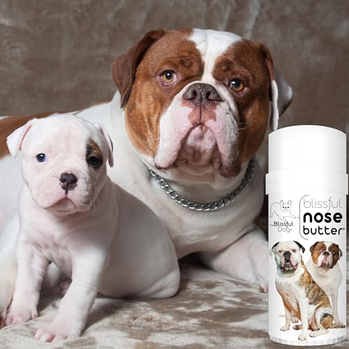 Image of The Blissful Dog American Bulldog Nose Butter, Versatile Dog Nose Balm for Dry Nose, Handcrafted Nose Moisturizer, Easy-to-Apply Dog Essentials, Unscented, 2.25 oz.