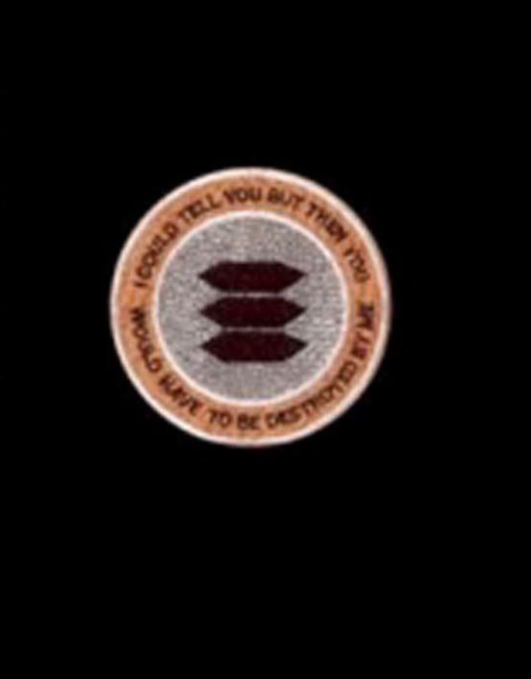 I Could Tell You But Then You Would Have to be Destroyed by Me: Emblems from the Pentagon's Black World cover