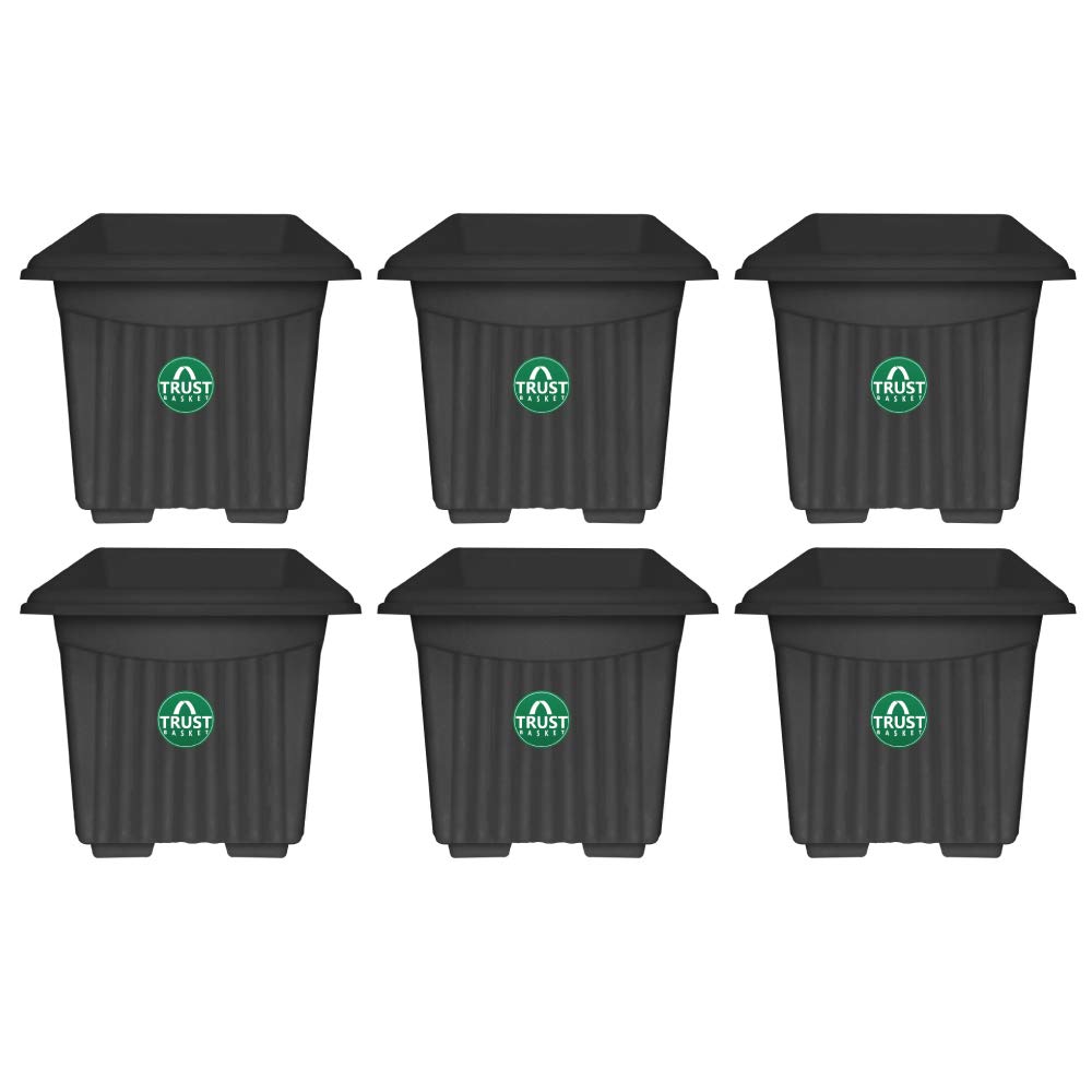 See full amazon price history chart for TrustBasket UV Treated Square Plastic Planter (14 inches) - Black Color- Set of 6 | Heavy Duty Highly Durable Plant Container Gamla for Indoor Home Decor & Outdoor Balcony Garden TrustBasket UV Treated Square Plastic Planter (14 inches) - Black Color- Set of 6 | Heavy Duty Highly Durable Plant Container Gamla for Indoor Home Decor & Outdoor Balcony Garden (B07QR2VH9V) Amazon Price History, Amazon Price Tracker