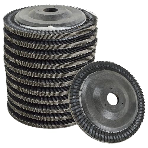 HfBXN #120 12 tbv fBXN OC_[ T_[   KƂ  Thy[p[ X