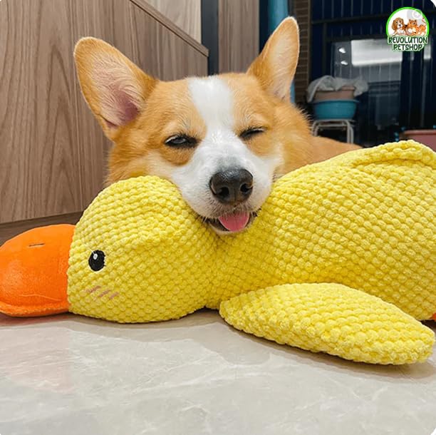 YAYNO Papera Calmante Antistress Per Cani - Peluche Con Squeak Resistente E Doppia Cucitura, Giallo, Per Ansia Da Separazione E Gioco
