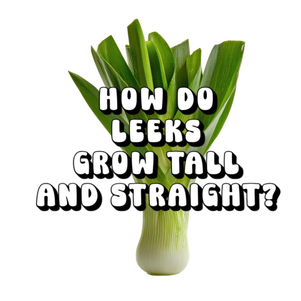 How Do Leeks Grow Tall and Straight?