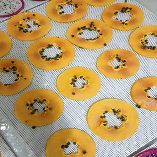 6 PCS Square Silicone Dehydrator Sheets Non-stick Fruit Dehydrator Mats, Reusable Steamer Mat Mesh Sheet for Fruit Dryer