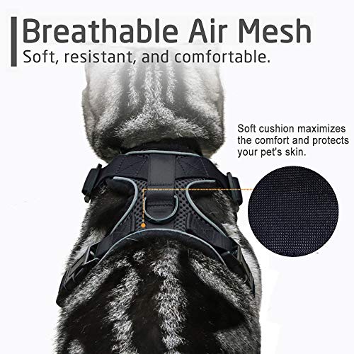 Rabbitgoo Pettorina per Gatti, Imbracatura per