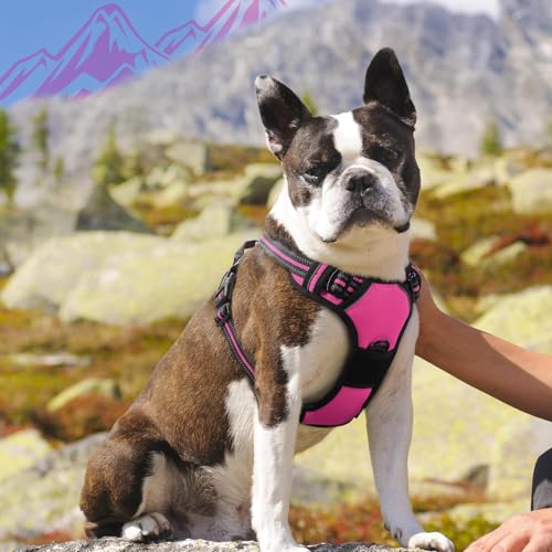 Image of Eagloo Dog Harness for Medium Sized Dogs, No Pull Vest with 2 Leash Clips