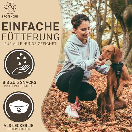 PFOTENGUT® Verdauungssnacks für Hunde [Made IN Germany] - 150 Snacks zur Förderung der Darmflora & Verdauung - Leckerlis zur Stärkung des Immunsystems - Probiotika Hund - Darmflora Aufbau Hund