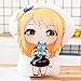 Kuscheltier 45cm New Fairy Tail Plüsch Kissen Natsu Lucy Erza Grau Anime Gefüllte Puppe Doppelseitige Cartoon Kissen Cosplay Plüschtiere