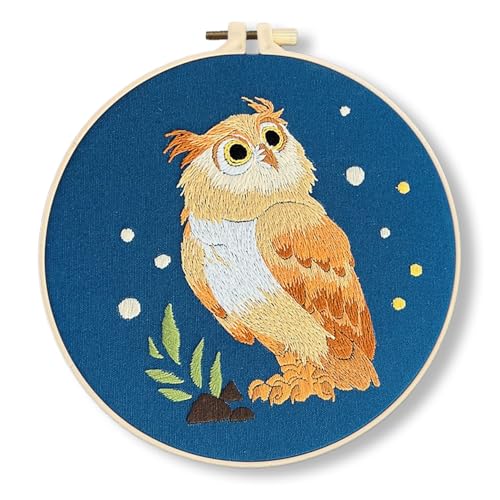 ogdoad Punch Needle Kits for Adults Beginners, Cute Owl Punch Needle Kit Beginner Needle Punch Kits with 20cm Hoop, Punch Stitching Kit for Adults, Home Decoration and Great Gift (Owl)